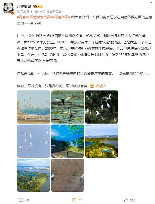 在南京当“岛主”是怎样一种体验？