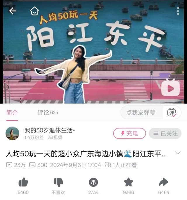 多位外籍网红博主“打卡”阳江