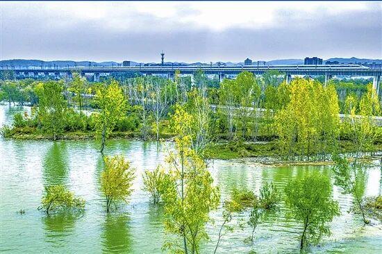 光影中的三门峡（546）