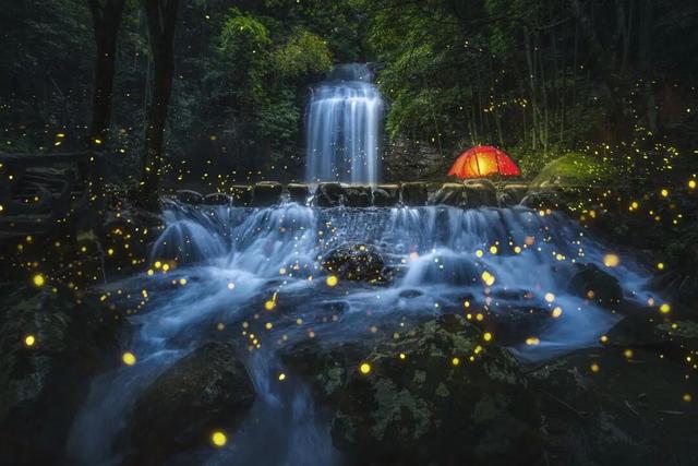 不止看风景！金森零碳玩法，扫码给将乐旅行加份“绿buff”