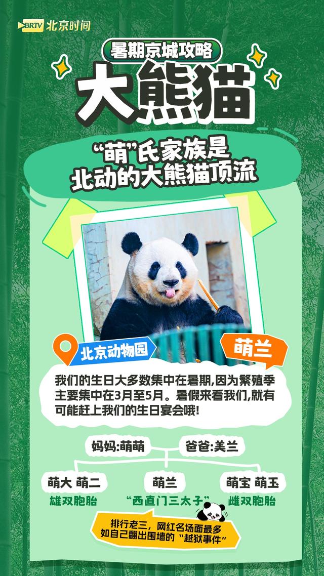 周末怎么过？和北京的“网红动物”一起过！