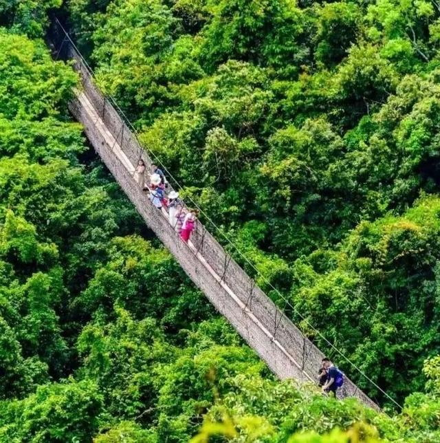 三亚，“老”出片了