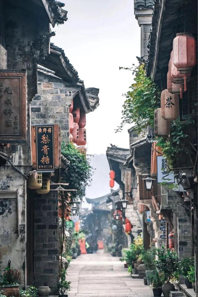 莲都人！免费！