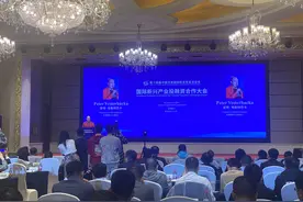 河南投洽会图片