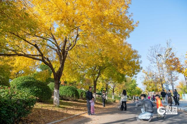 “秋日限定”上线！世博园赏秋正当时