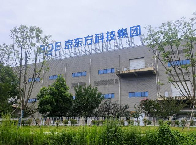 “天府大屋檐”惊艳世运会，成都高新区叩响 “世界柔谷” 之门