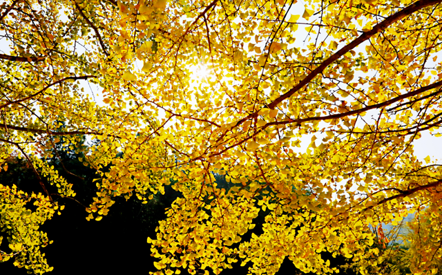 提到家乡韶关，张颂文就是那么“傲娇”！