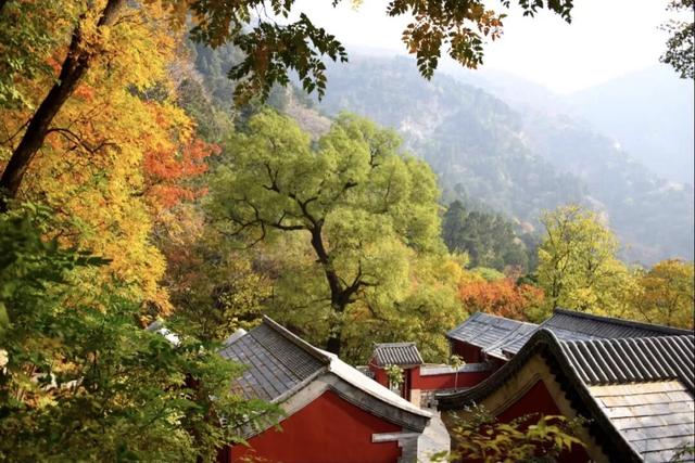 五彩斑斓！北京“漫山红叶”进最佳观赏期!