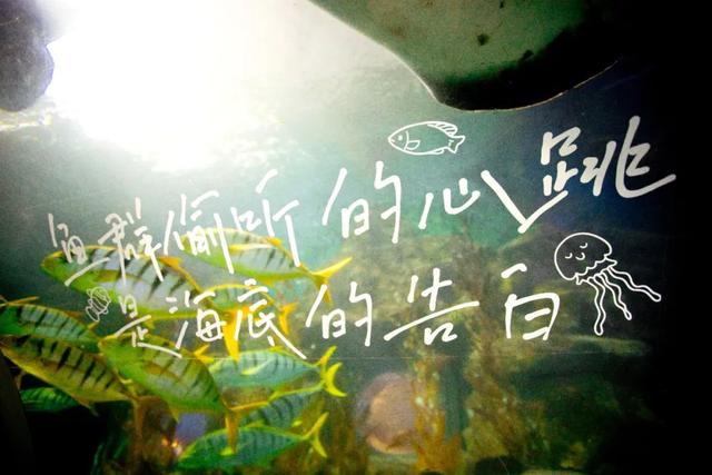 开学季放大招！¥99拿下门票+船票，再送休闲年卡，畅玩一整年！
