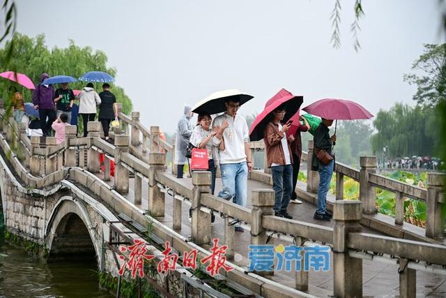 烟雨大明湖邂逅“夏雨荷”，国庆雨中游热度攀升