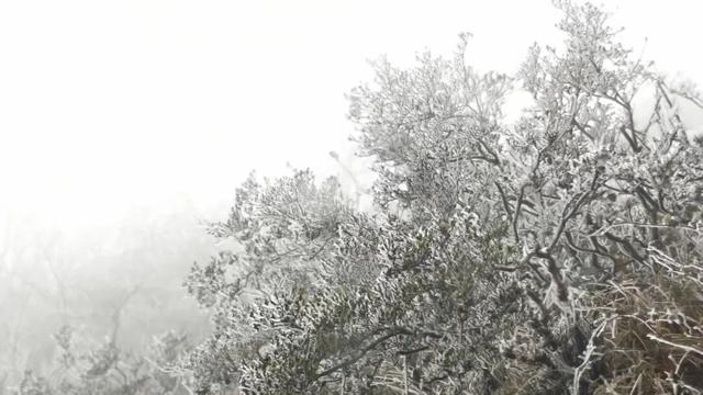 融水2026第一场雪来啦！你的朋友圈被刷屏了吗？