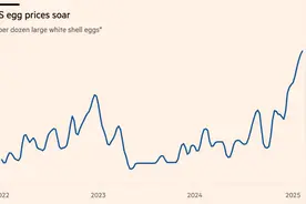 美国鸡蛋价格达45年来最高点 多家超市闹起“鸡蛋荒”图片