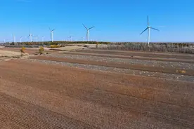 行走龙江看发展|大豆变“金豆”，怎样做到的？图片