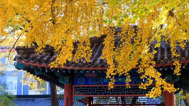 半城古典，半城浪漫！一叶知秋，一框载古今