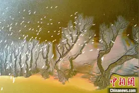 国内外文化旅游界专家相聚江苏盐城 共商文旅发展大计图片