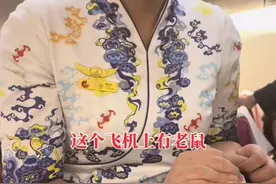 长安航空被曝“老鼠跑到乘客腿上”，客服称系小家鼠！已消毒图片