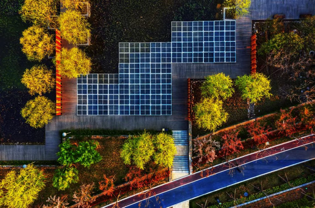 走，到郑州航空港“捡秋”去！丨港视角