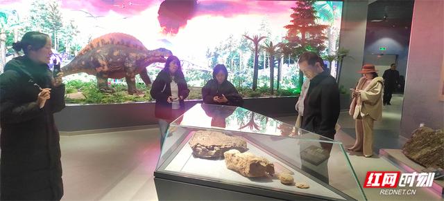 武陵源科技专家服务团走进地质公园博物馆 把脉科普研学 赋能文旅融合