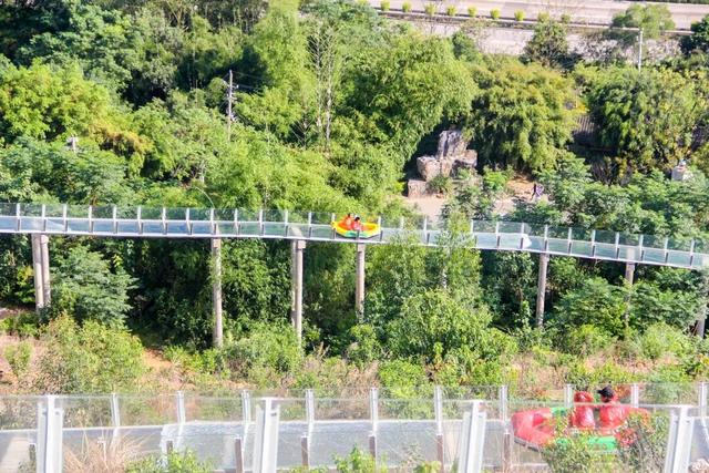 110警察节 | 龙门水都邀全国人民警察免门票入园收获一份暖冬！