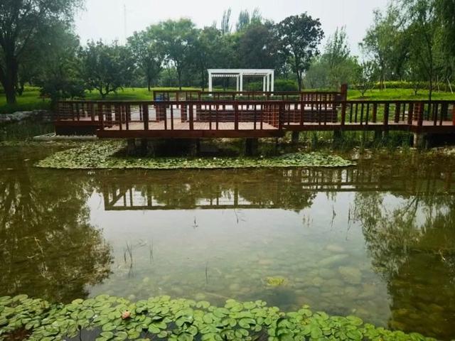 北京号最精彩 | 颜值舒适度双提升！海淀8条道路大变样