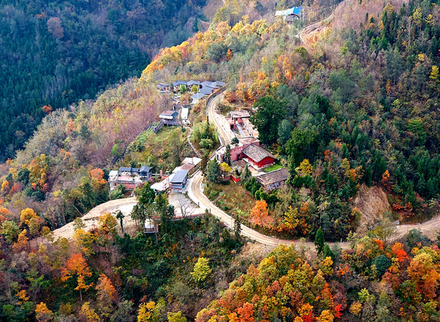 青睐绵阳 ‖ 云端公路 层林尽染！初冬驾游平武药丛山，限定版的视觉盛宴~