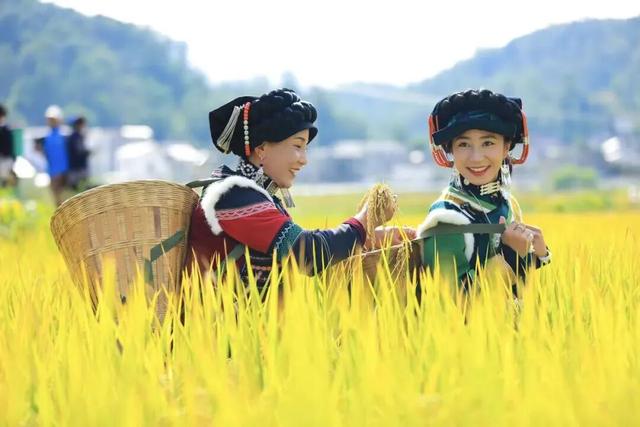 金秋邂逅凉山：9-10月文旅活动精彩预告