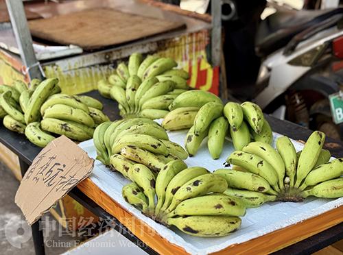 北海，不止有海