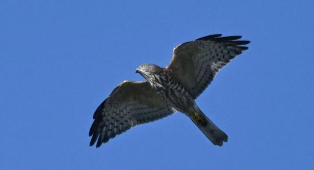 无锡最新追“星”指南，速收藏！