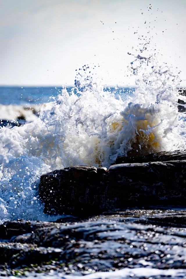 今早实拍！日照海边结冰了！低温还要持续几天？