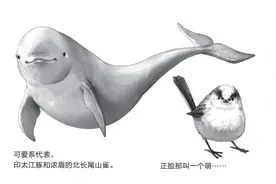 人类偏爱好看的生物：被列为保护对象的动物往往都是可爱的图片