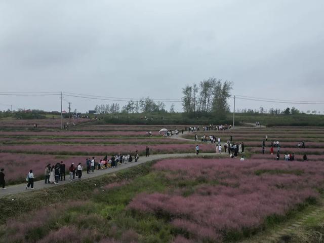 人气攀升！信阳文旅市场持续升温