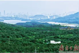 宝安推出七大片区，让“好项目有地可落”图片