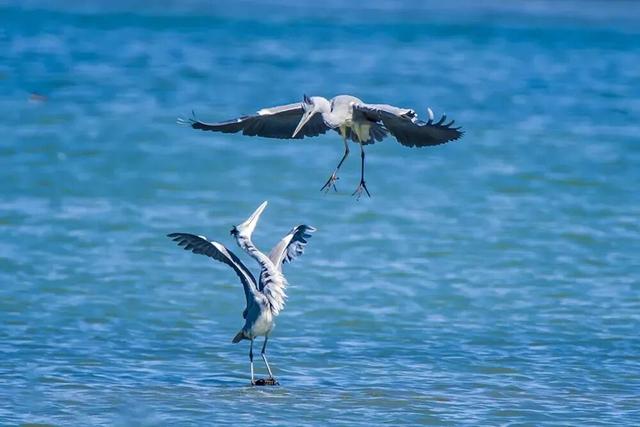 来保山，让冬日住进22℃的温柔里！