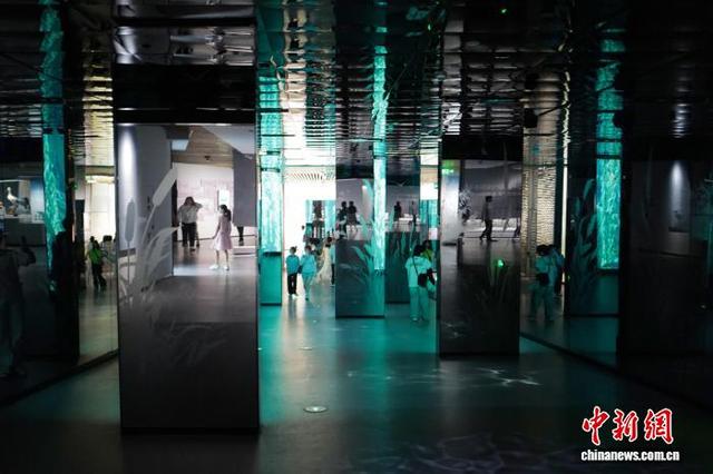 中国湿地博物馆夏日引游人 尽显人与自然之美