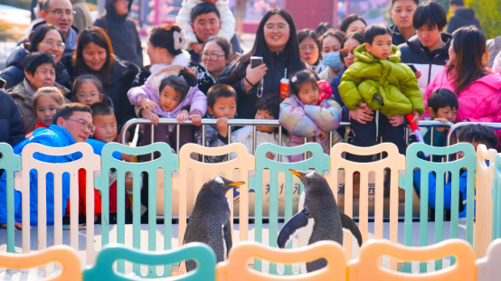 郑州海昌海洋公园年味不停，宠妮来袭！