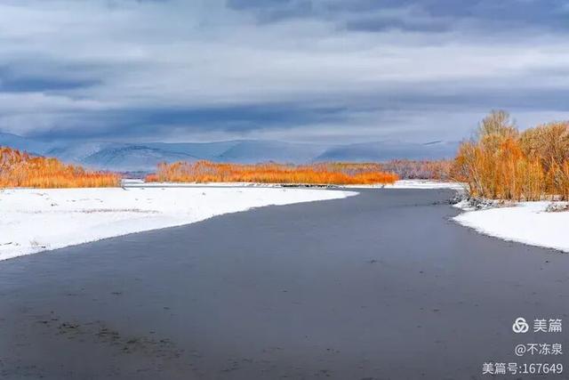 冷极秘境——2025年呼中的冬雪魅景