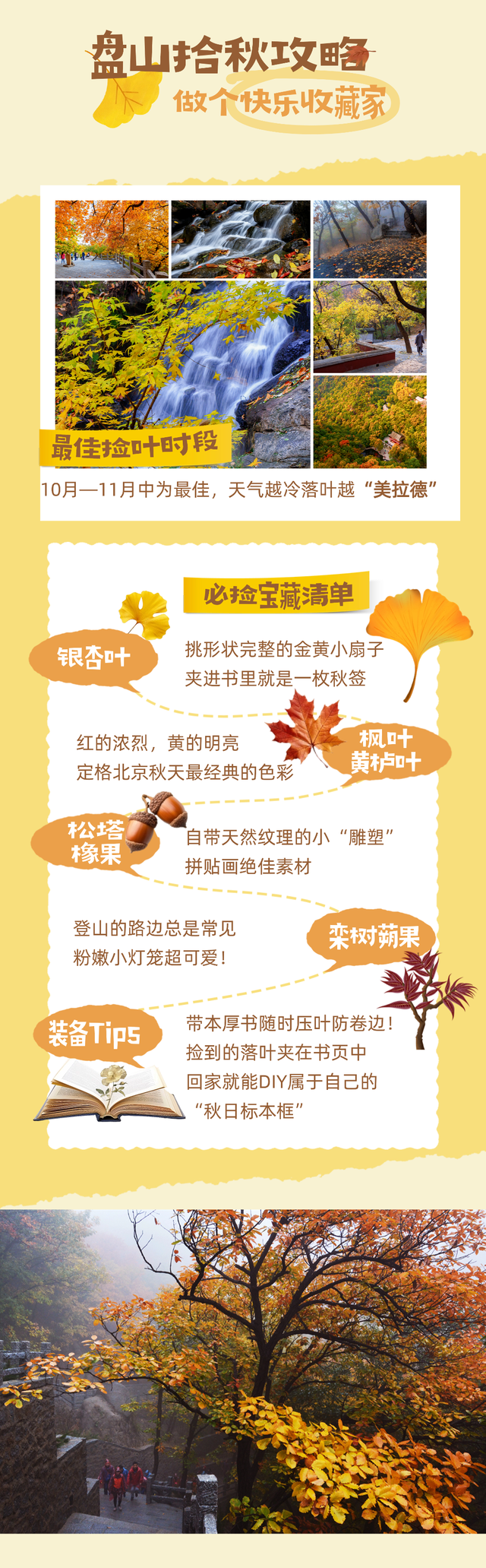 解锁盘山红叶节新玩法：不止赏红，“捡秋” 才是正确打开方式！