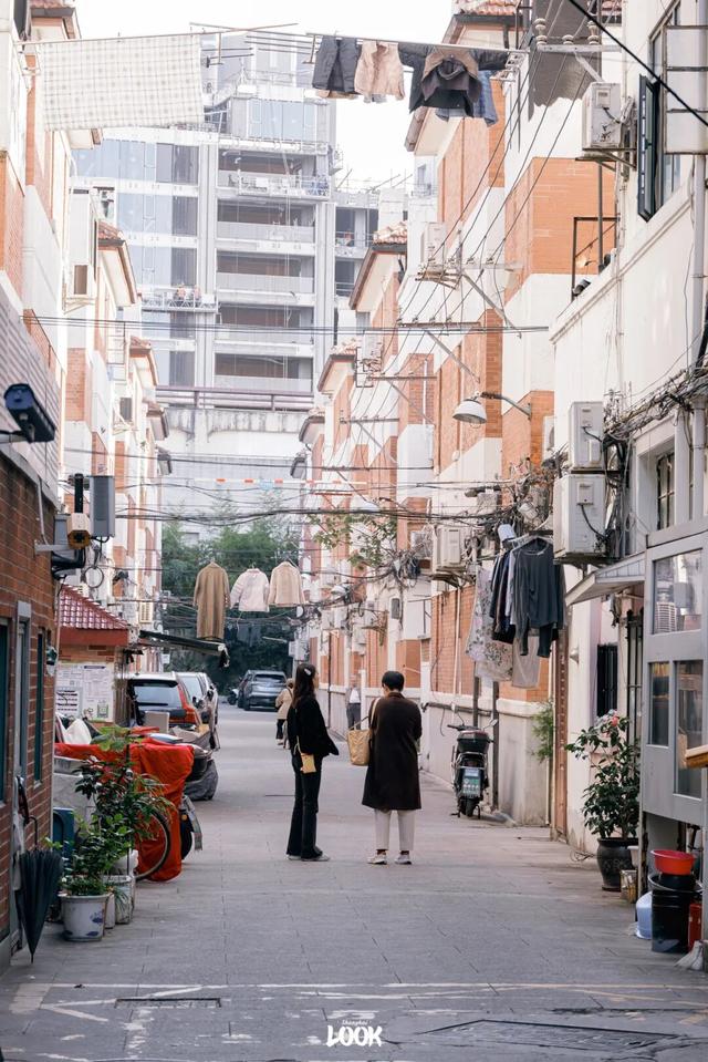 上海最美不过愚园路