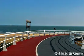 走进美丽海湾丨解锁日照阳光海岸绿道的“N种”打开方式图片