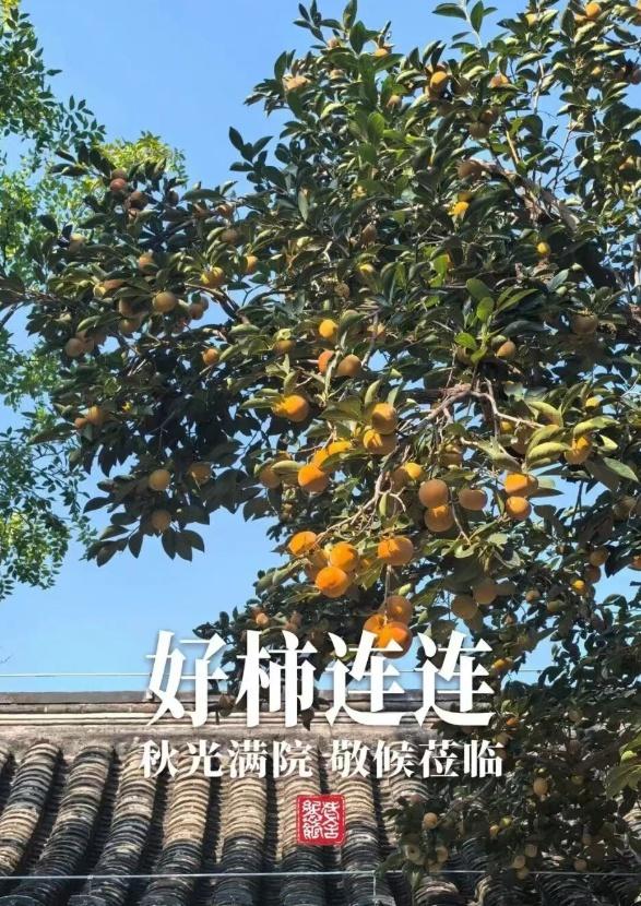 明天休息！北京赏秋攻略这不就来了→