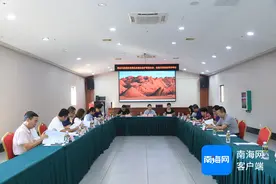 澄迈无核荔枝产业标准体系及七项核心团体标准通过技术审查图片