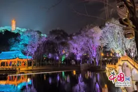 邂逅铁道上的春日美景，助力开启民生新篇图片