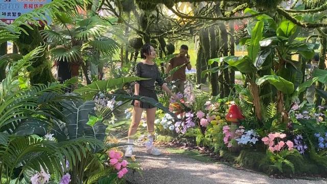 暑期新玩法：鑫诚田园“上岸PARK”火爆今夏