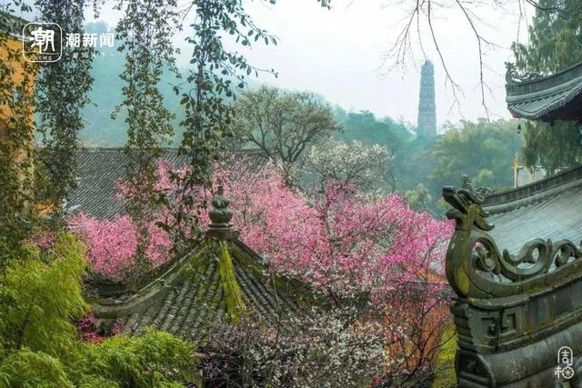 2026，我们与你续写旅途故事