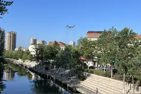 无人机飞防3000余亩，李沧“空陆一体”保护城区绿化图片