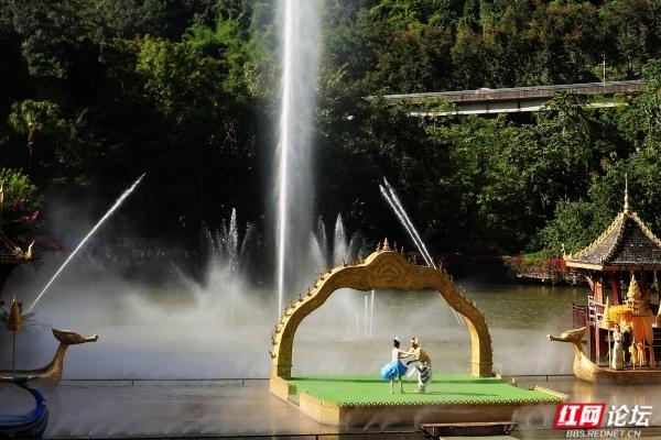 岁暖时刻丨西双版纳森林公园：彩裙碰彩伞，傣风裹着蕉香漫