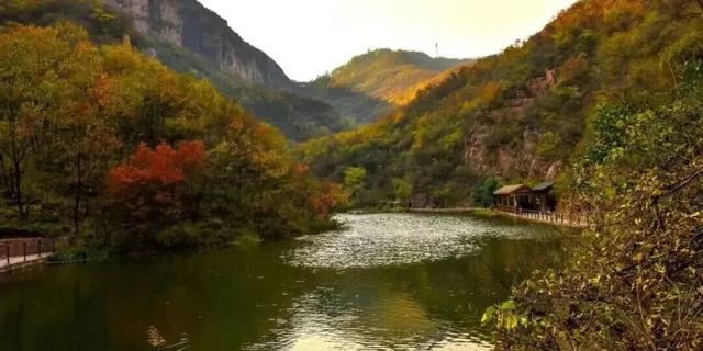 亮相央视！洛阳这些赏秋地，太美！