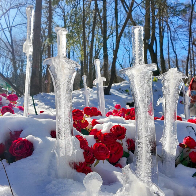 洛阳，新晋网红打卡地+1+1+1+1+1