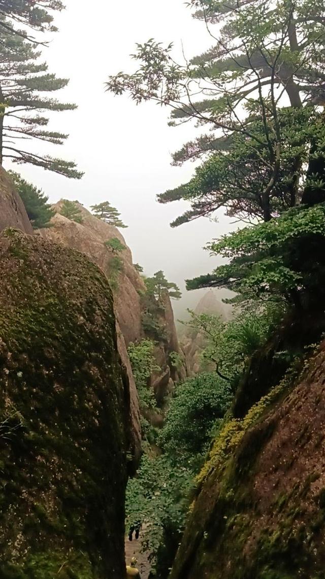 晚潮｜从迎客松到光明顶的奇幻旅程