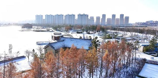 初雪染南海 高铁赴雪约